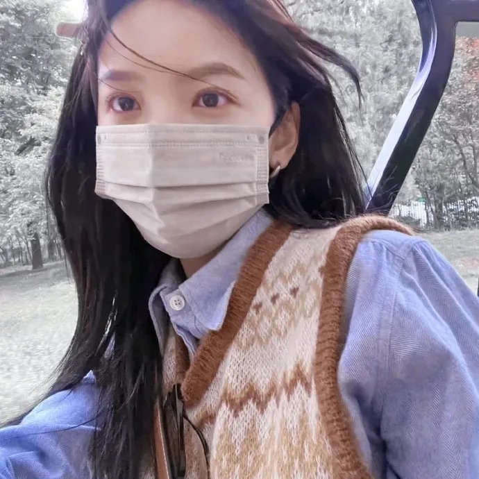 哈莱姆的郁金香
